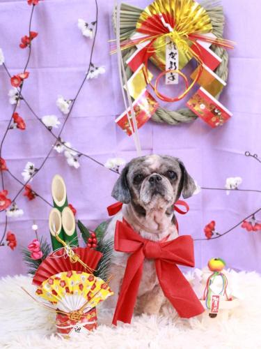 20230109ヒメちゃん